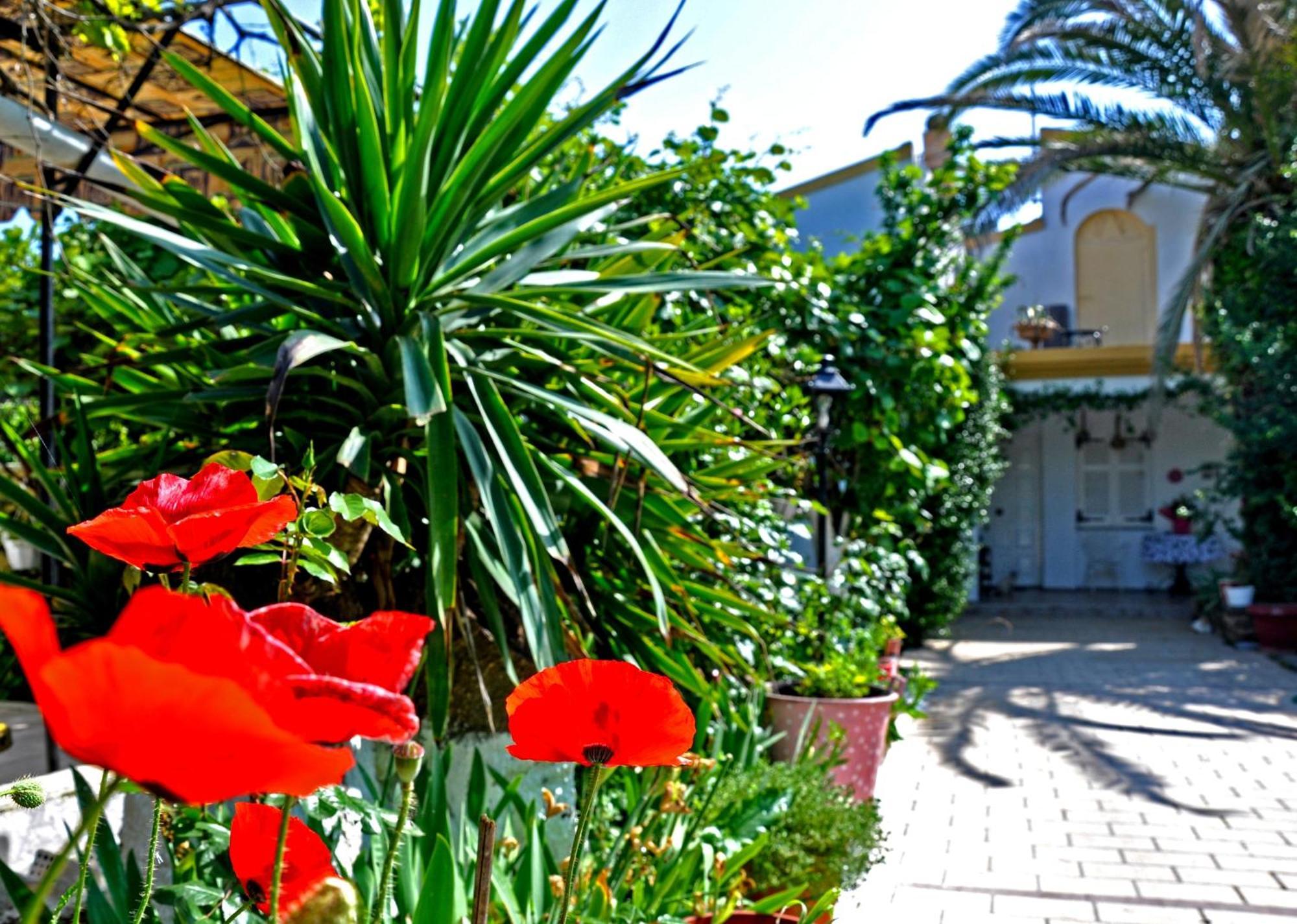 Villa Elena Studios Dasziá Kültér fotó